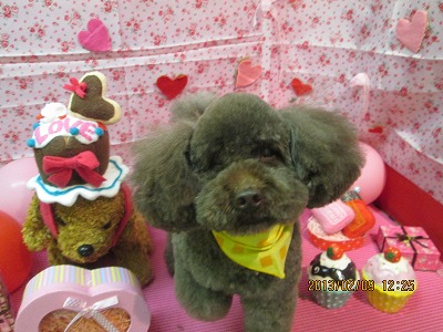 ファイル 6252-1.jpg