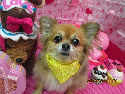 ファイル 6253-2.jpg