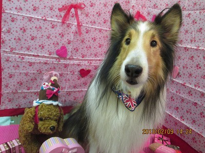 ファイル 6254-2.jpg