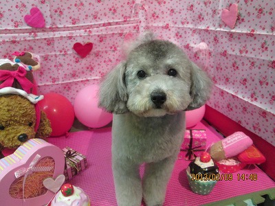 ファイル 6255-2.jpg