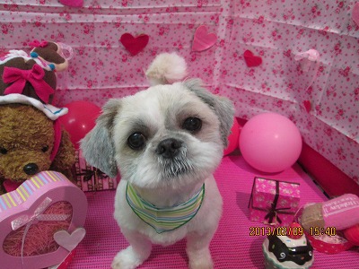 ファイル 6256-2.jpg