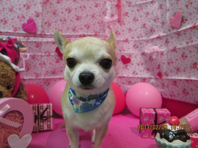 ファイル 6257-1.jpg