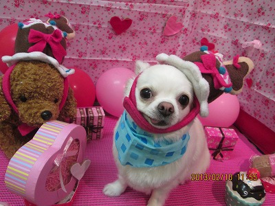 ファイル 6258-1.jpg