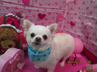 ファイル 6258-2.jpg