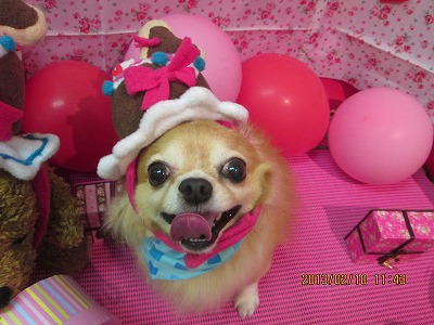 ファイル 6259-2.jpg