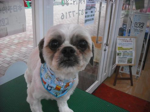 ファイル 626-1.jpg