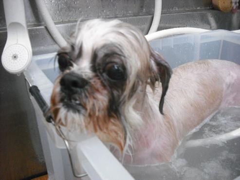 ファイル 626-2.jpg