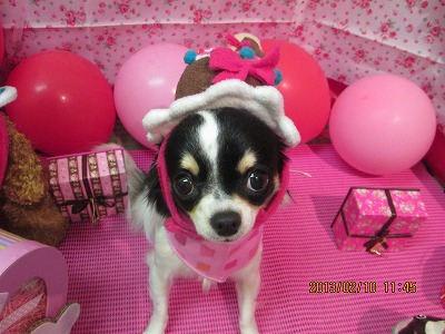 ファイル 6260-2.jpg