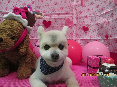 ファイル 6261-1.jpg