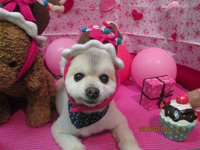 ファイル 6261-2.jpg