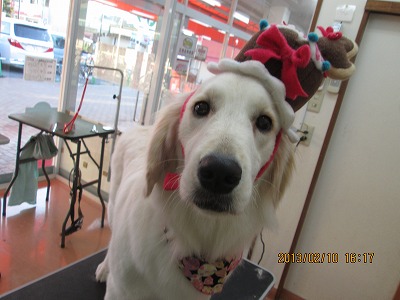 ファイル 6262-1.jpg