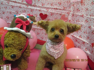 ファイル 6263-1.jpg