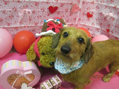 ファイル 6264-1.jpg