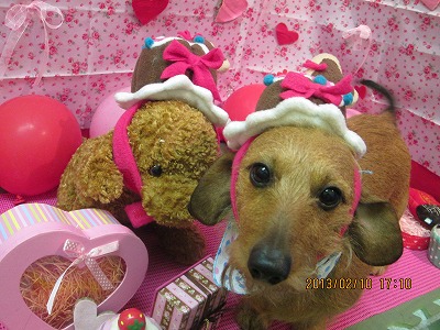 ファイル 6264-2.jpg