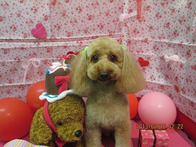 ファイル 6265-2.jpg