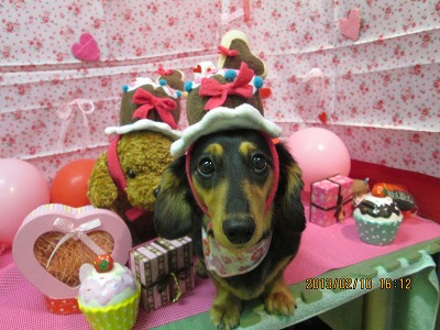 ファイル 6266-1.jpg