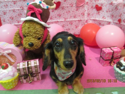 ファイル 6266-2.jpg