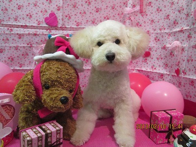 ファイル 6267-1.jpg