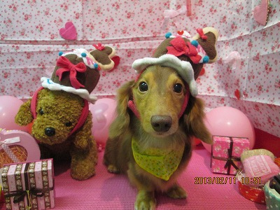 ファイル 6268-1.jpg