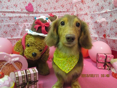 ファイル 6268-2.jpg