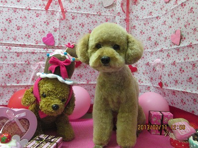 ファイル 6269-2.jpg