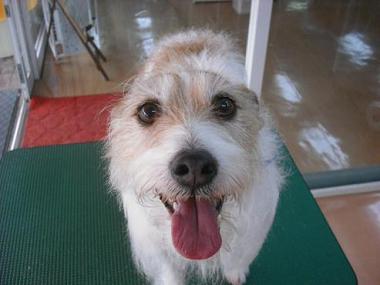 ファイル 627-1.jpg