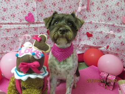 ファイル 6270-1.jpg