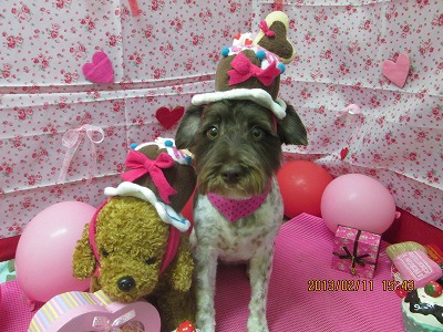 ファイル 6270-2.jpg