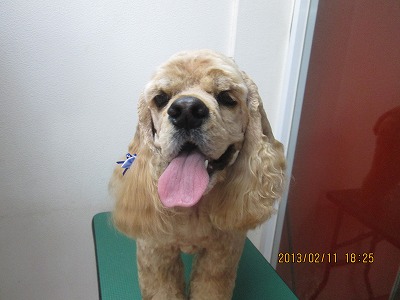 ファイル 6271-2.jpg