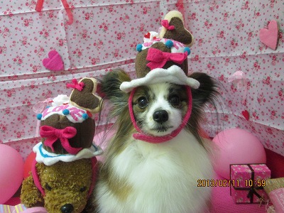 ファイル 6272-1.jpg