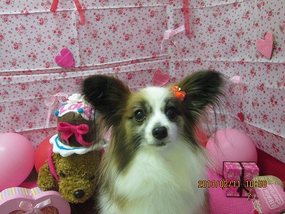 ファイル 6272-2.jpg