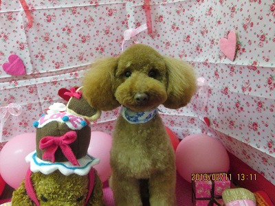 ファイル 6273-2.jpg