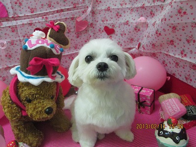 ファイル 6274-2.jpg