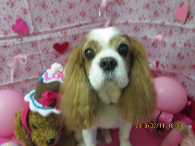 ファイル 6275-2.jpg