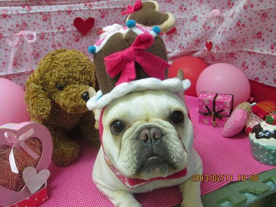 ファイル 6276-1.jpg