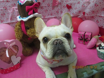 ファイル 6276-2.jpg