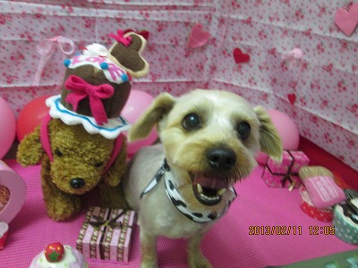 ファイル 6277-2.jpg