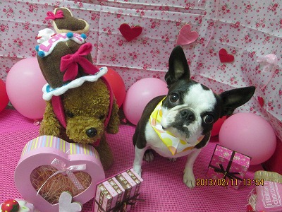 ファイル 6278-2.jpg