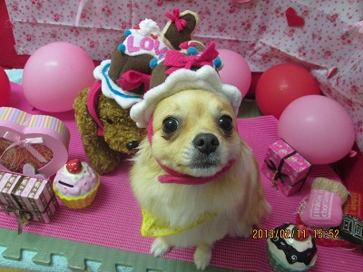 ファイル 6279-1.jpg