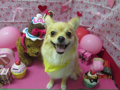 ファイル 6279-2.jpg