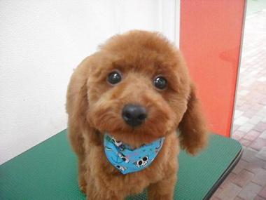 ファイル 628-1.jpg