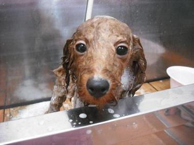 ファイル 628-2.jpg