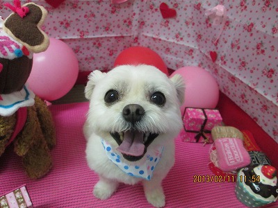 ファイル 6280-1.jpg