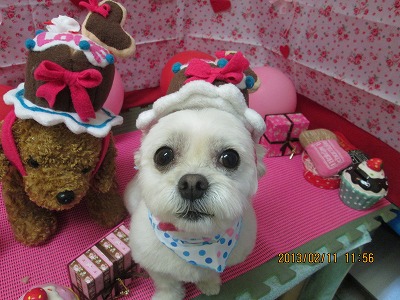 ファイル 6280-2.jpg