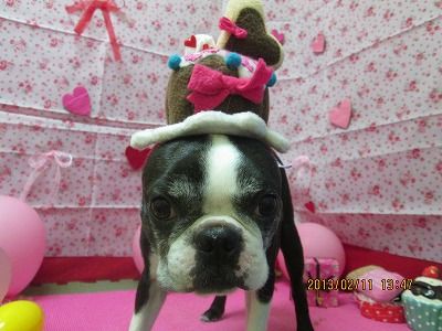 ファイル 6281-1.jpg