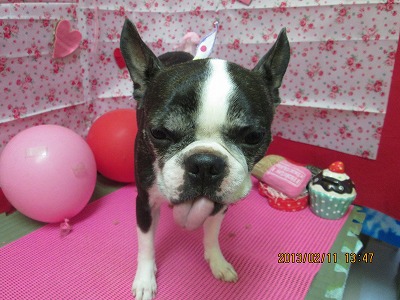 ファイル 6281-2.jpg