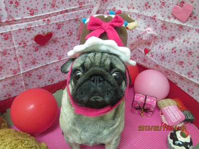 ファイル 6282-1.jpg