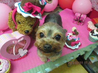 ファイル 6283-2.jpg