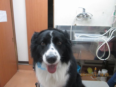 ファイル 6284-1.jpg