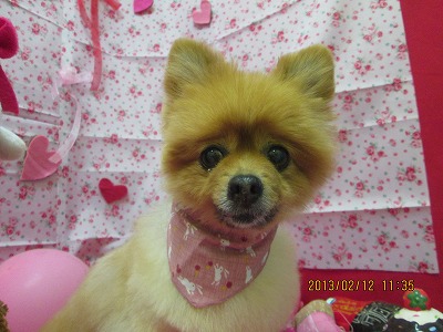 ファイル 6285-1.jpg